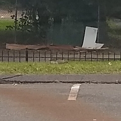 Sciurus carolinensis