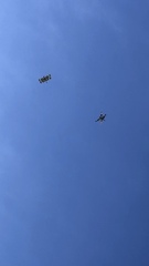 Rhyothemis graphiptera