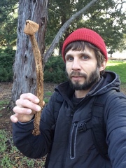 Battarrea phalloides