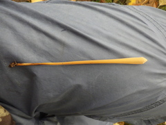 Macrotyphula fistulosa