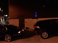 Troglodytes hiemalis