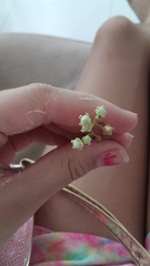 Parthenium confertum