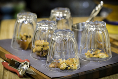 Flammulina velutipes