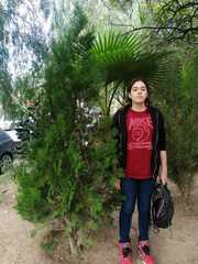Cupressaceae