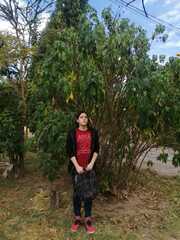 Cnidoscolus multilobus