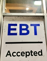 Melacoryphus lateralis