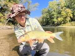 Moxostoma erythrurum