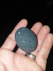 Chionanthus quadristamineus