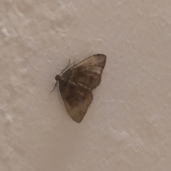 Catarhoe basochesiata