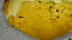 Agaricaceae
