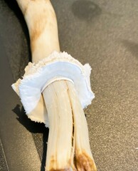Chlorophyllum molybdites