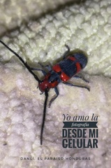 Tetraopes umbonatus