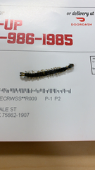 Hemiscolopendra marginata