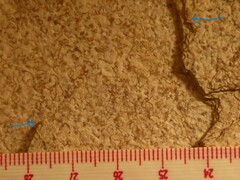 Eulithis gracilineata