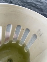 Bythotrephes longimanus