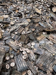 Nidulariaceae