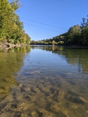 Percina phoxocephala