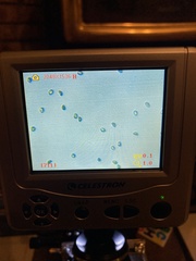 Cortinarius rubiginosus