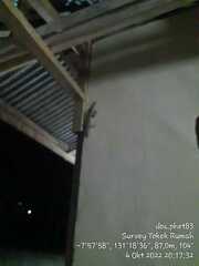 Gekko gecko