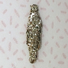 Phereoeca