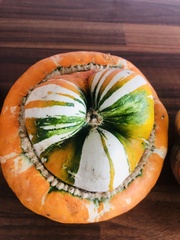 Cucurbitaceae