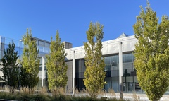 Populus