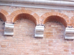 Ptyonoprogne rupestris