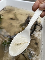 Paratya curvirostris