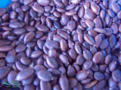 Enterolobium