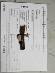 Crepidotus albissimus