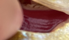 Lepomis gibbosus × cyanellus