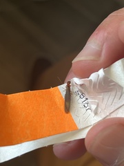 Incisitermes