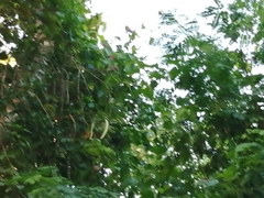 Fridericia