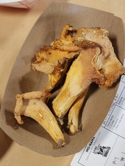 Cantharellus flavolateritius