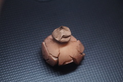 Geastrum rufescens