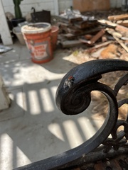 Phidippus adumbratus