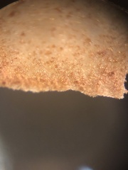 Agrocybe putaminum