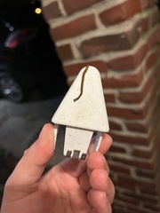 Bipalium adventitium