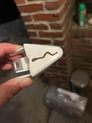 Bipalium adventitium