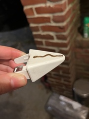 Bipalium adventitium