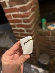 Bipalium adventitium