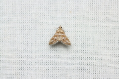 Sameodes cancellalis