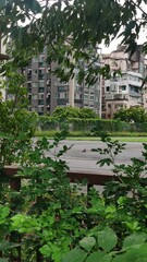 Streptopelia orientalis orii