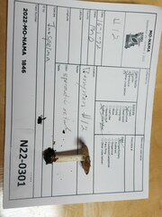 Pseudosperma curreyi