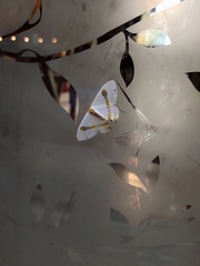 Macrocilix mysticata