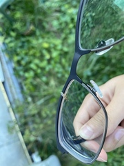 Brachymyrmex depilis