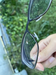 Brachymyrmex depilis