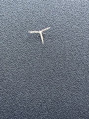 Platyptilia carduidactylus