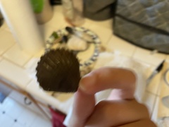 Argopecten irradians