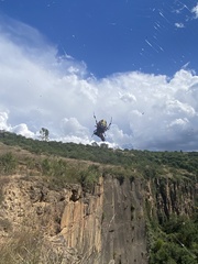 Neoscona orizabensis